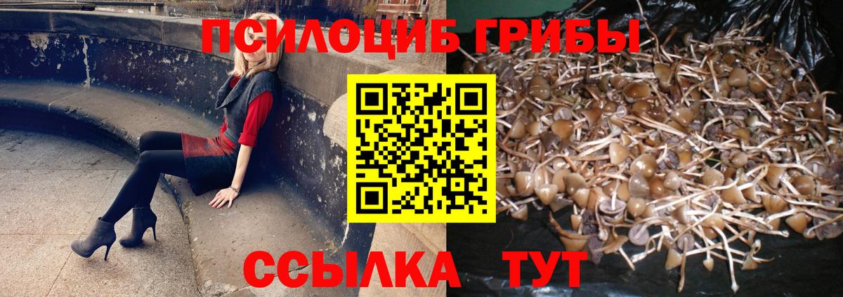 Галлюциногенные грибы Magic Shrooms Майкоп
